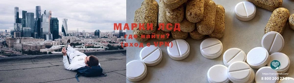 стафф Арсеньев