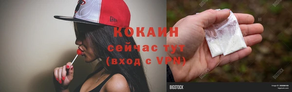 стафф Арсеньев