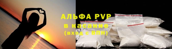 PSILOCYBIN Аркадак