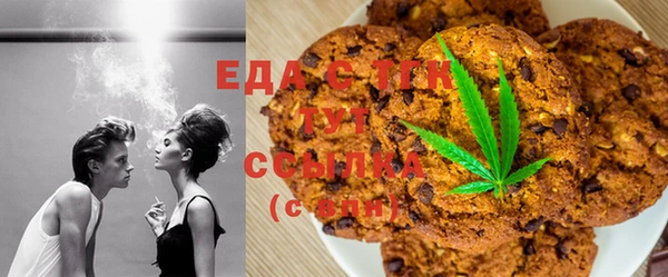 PSILOCYBIN Аркадак