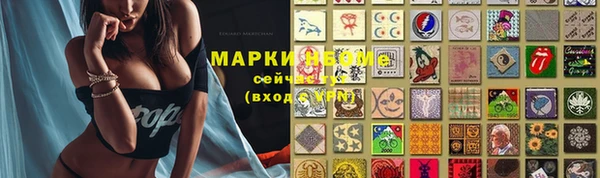 PSILOCYBIN Аркадак