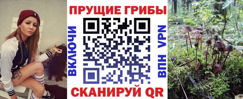 Галлюциногенные грибы ЛСД Унеча